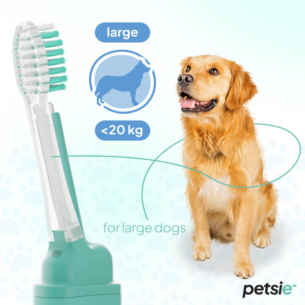 Petsie dog toothbrush (size L 20+kg)-1