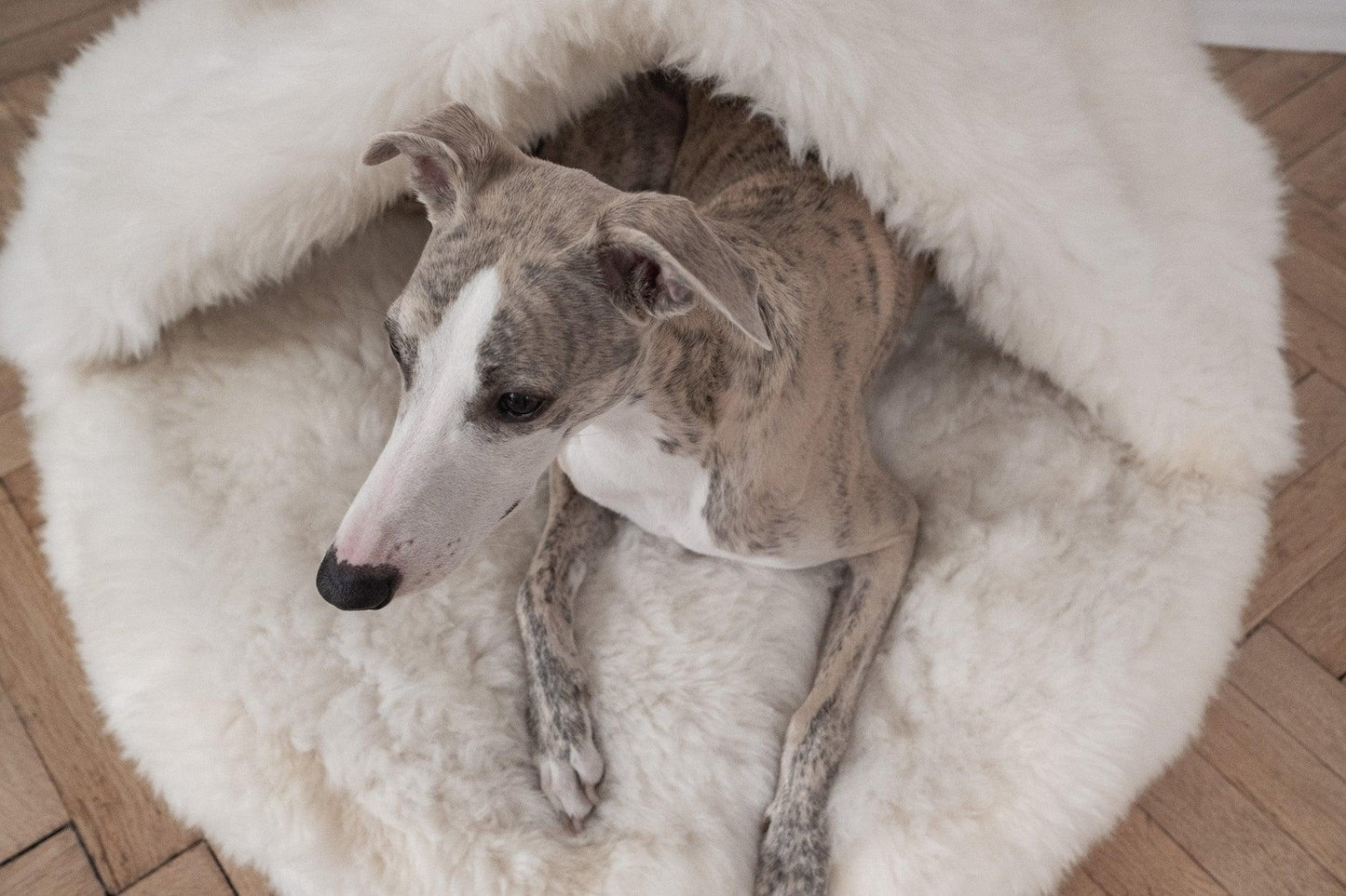 Natural Sheepskin Pet Cave - White-4