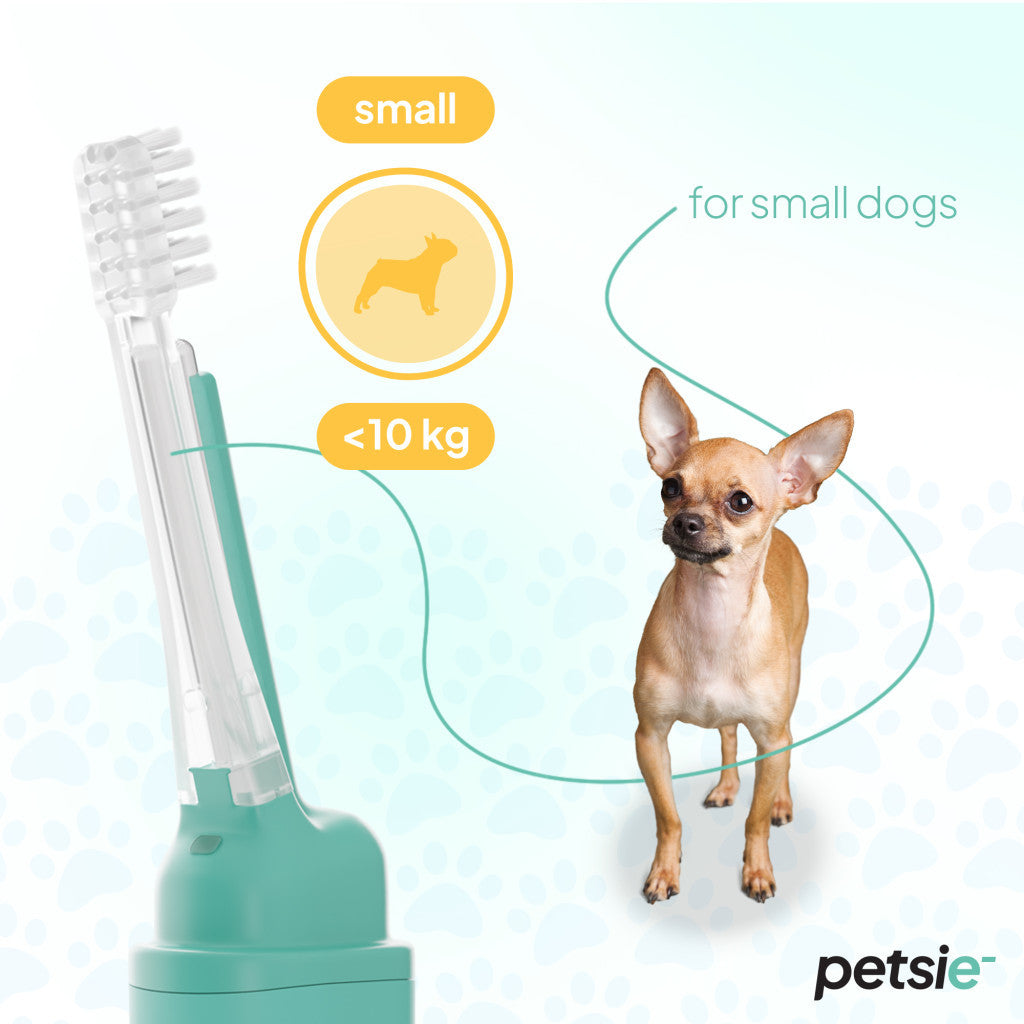 Petsie dog toothbrush (size S -10kg)-2