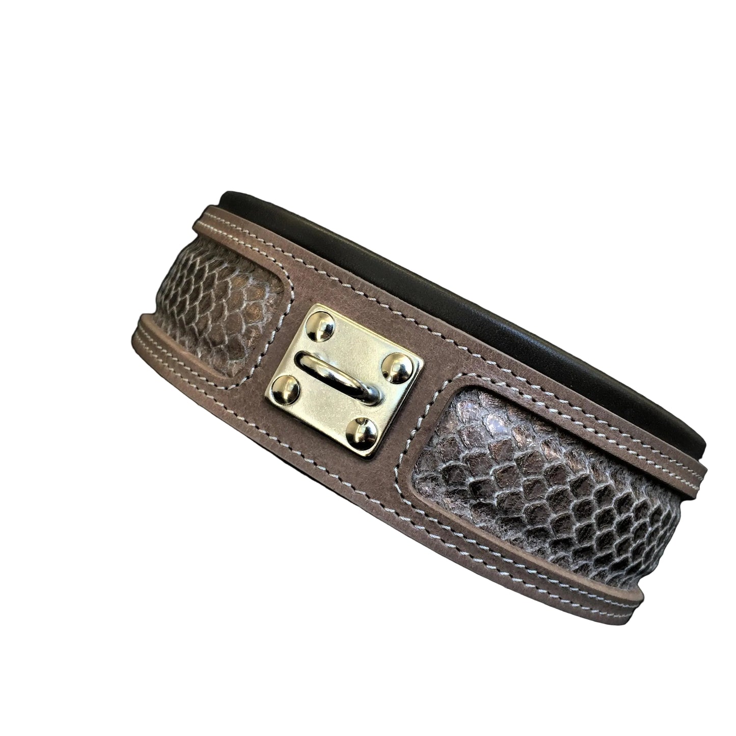 The ''Python'' exclusive design-0
